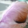 50Pcs Fluffy Turkey Marabou Feather 10-15Cm Turkey Feathers Decoration Accessories For Jewelry Clothes Wedding Plumes DIY Crafts