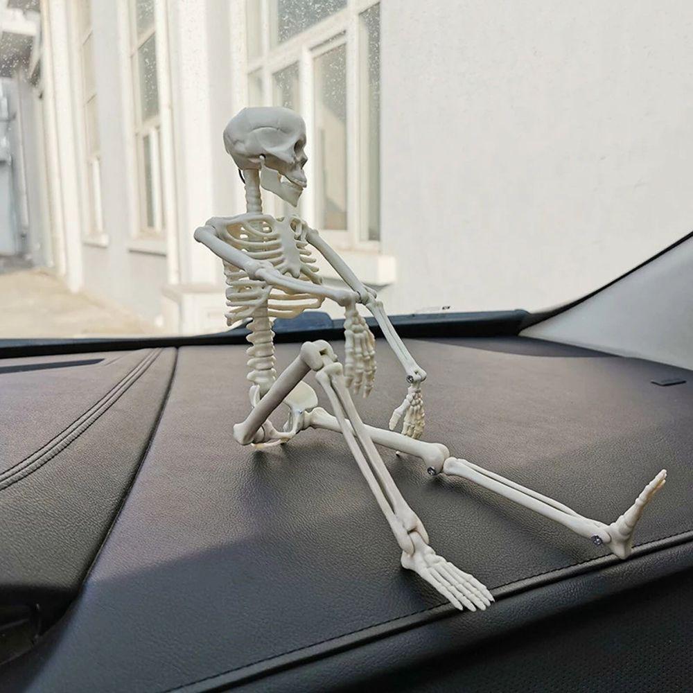 Decoration Skeleton Anatomy Skeleton Human Skeleton Model Car Decoration People Active Model