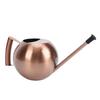 Watering Can with   Spout 1000ml Stainless Steel Round Indoor Plant Watering Can with Detachable Head for Home Garden Flower