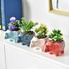 Cute Elephant Flower Pot Ceramic Succulent Pot Planter Home Decor Indoor Decoration Desktop Ornaments Bonsai Plant Pot
