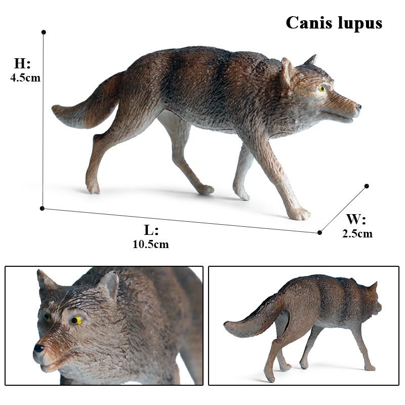 Oenux Дикие животные Маленький серый волк Гривистый волк Детеныши волков Модель для симуляции Коллекция фигурок из ПВХ Подарок Детская игрушка Подарок