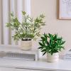 Artificial Bamboo & Apple Leaf Potted Plant