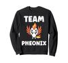 Humor Phoenix Animals Simple Fire Bird Team Phoenix Sweatshirt