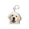 Samoyed Labrador Puppy Pendant Husky Acrylic Corgi Keyring Border Collie Dog Keychain  Unisex