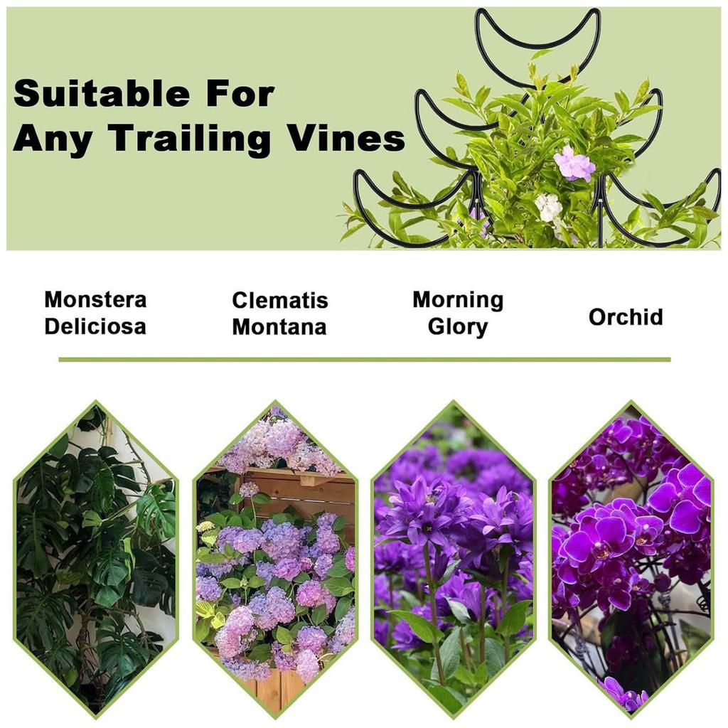 Metal Indoor Plant Trellis for Climbing Plant Small Garden Trellis for Potted Plant Outdoor Flower Plant Support