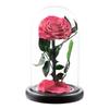 Eternal Flower Rose Finished Glass Cover Gift Box Little Prince Mother's Day Gift Eternal Flower
