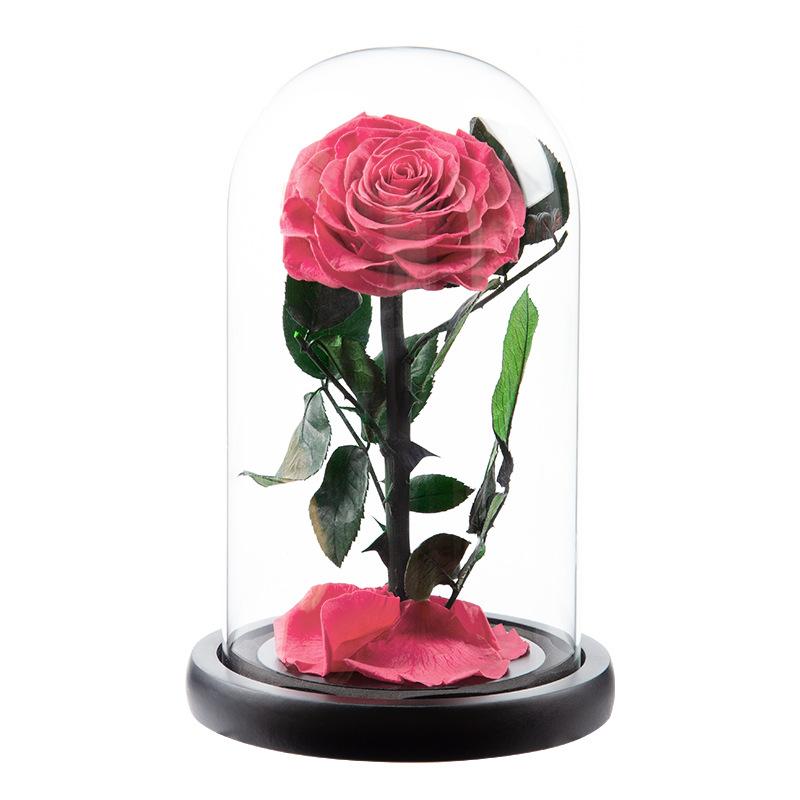Eternal Flower Rose Finished Glass Cover Gift Box Little Prince Mother's Day Gift Eternal Flower