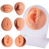 Human Facial Features Model Puncture Perforation Silicone Ear Model Nose Tongue Eyes Navel Big Mouth Ear Model