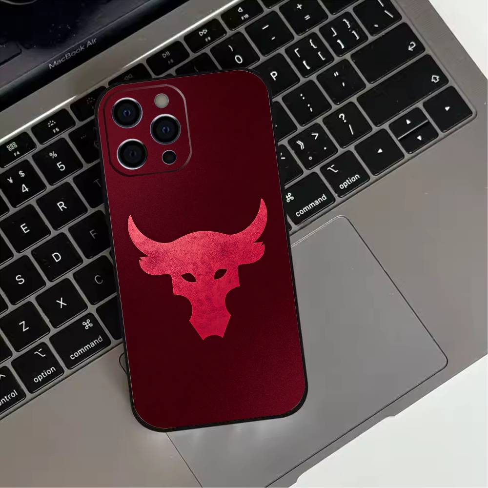 Чехол для телефона P-Project-Rock для iPhone 17,16,15,14,13,12,11 Plus,Pro Max,XS,Мягкий силиконовый черный чехол