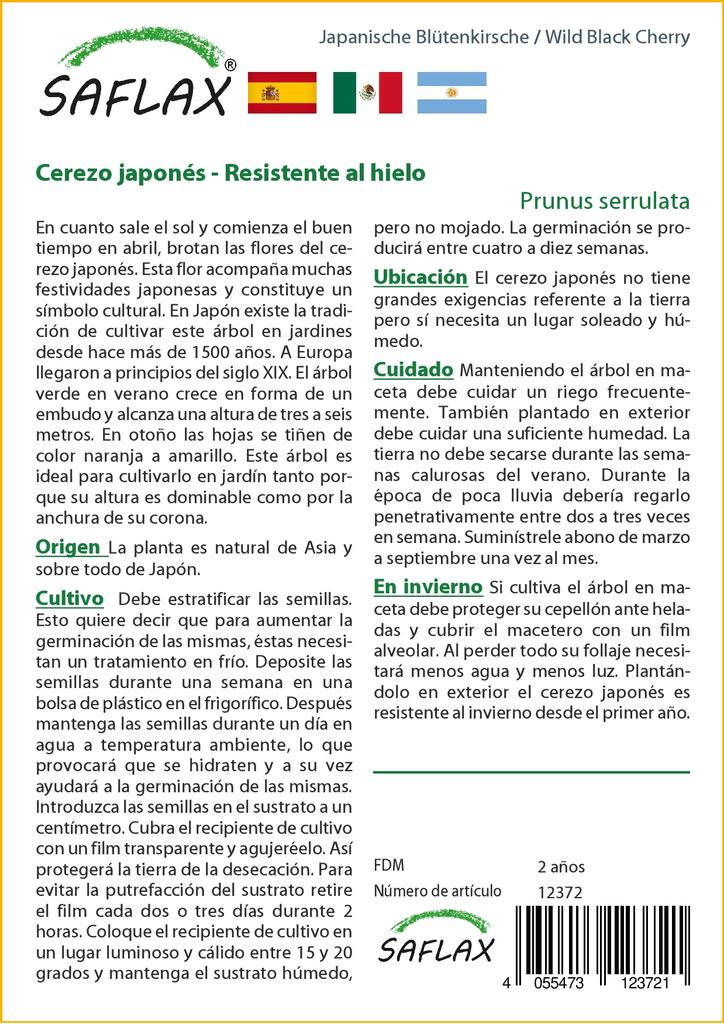 SAFLAX Wild Black Cherry - 30 семян - С горшечным субстратом для лучшего выращивания - Prunus serrulata