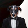 Маска Немецкой Овчарки Маска на Всё Лицо Хэллоуин Маскарадная Вечеринка Косплей Реквизит Смешные Животные Аксессуары