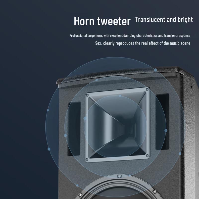 Huidu HT-081 Professional Passive Wooden Stage Speaker