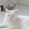Professional Pet Hair Remover Open Knot Pet Cleaning Mitten New Pet Grooming Glove  Dog