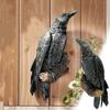 Black Crow Perch Resin Wall Hanging Statue Bird Crow Sculpture Halloween Creative Outdoor Garden Patio Animal Decoration Gift