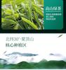 Jasmine Tea High Mountain Mengding 200g Strong Aroma Fresh Green Tea