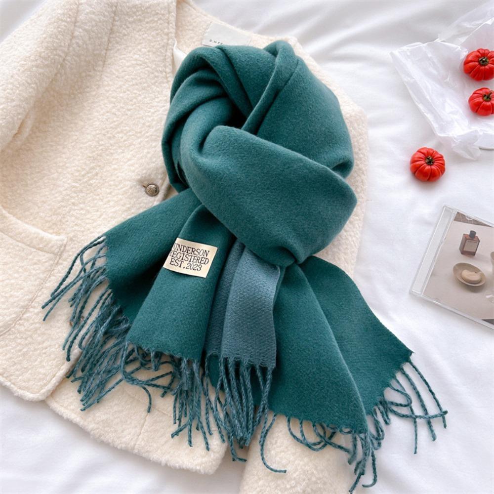 Warm Imitation Wool Scarf Tassel Winter Long Shawl Korean Style Cashmere Shawl Girl