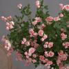 Real Touch Silk Mini Rose Plastic Simulation Rose Flower Fake Flowers  Home Office Decor