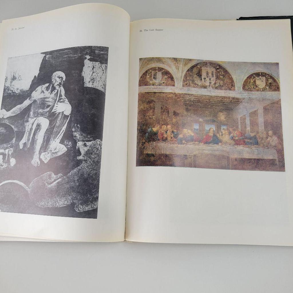 [USED] Foreign books Leonardo da Vinci