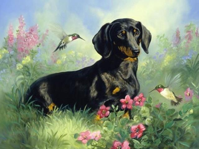 Полный круглый/квадратный алмазная живопись собака 5D DIY животное Алмазная вышивка набор крестиков подарок ручной работы украшение дома