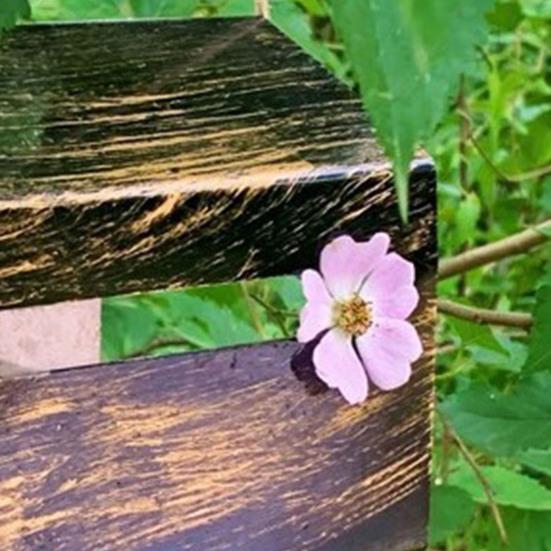 Кормушка для птиц для уличного подвесного скворечника в деревенском стиле, кормушка для диких птиц для наружного декора сада, патио, заднего двора