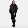 Regatta Dover Waterproof Windproof Jacket (Thermo-Guard Insulation)