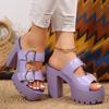 Fashion Summer Women High Heel Sandals Platform Fashion Simple Slippers Women Buckle Open Pen Chunky Heeled Ladies Black Sandales Shoes