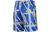 Nike Kids Shorts Moderate FD3933-480