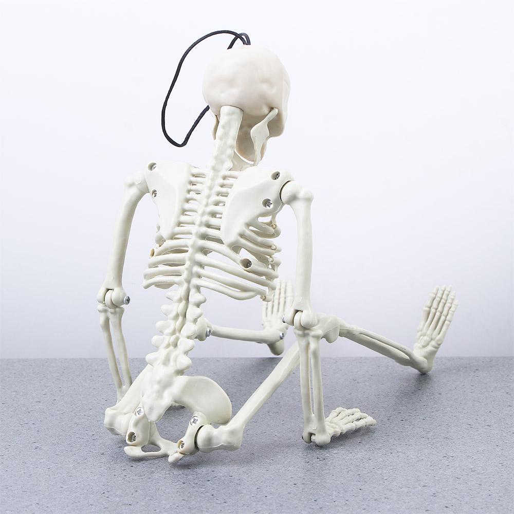 accessories Biology teaching Skeleton model Human Bones Halloween props Car Rearview mirror pendant