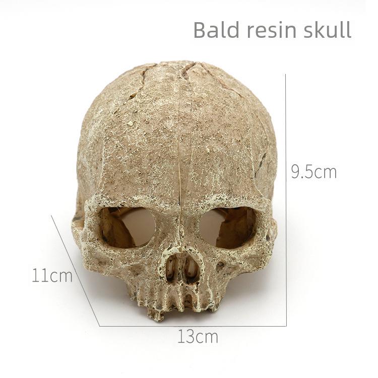 Популярная серия «Черепа» для террариума, украшение для змей и ящериц — декорации для аквариума и укрытия для домашних животных