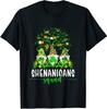 NEW LIMITED St Patricks Day 2023 Shamrock Irish Shenanigans Squad T-Shirt S-3XL