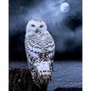 DIY Owl 5D Diamond Painting Animal Diamont Embroidery Mosaic Cross Stitch Full Round Drill Resin Home Decor Manual Gift