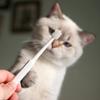 Зубная щетка для кошек Мягкая щетка для чистки полости рта у кошек Щетка для чистки зубов Уход за домашними животными Зубная щетка для кошек Товары для домашних животных