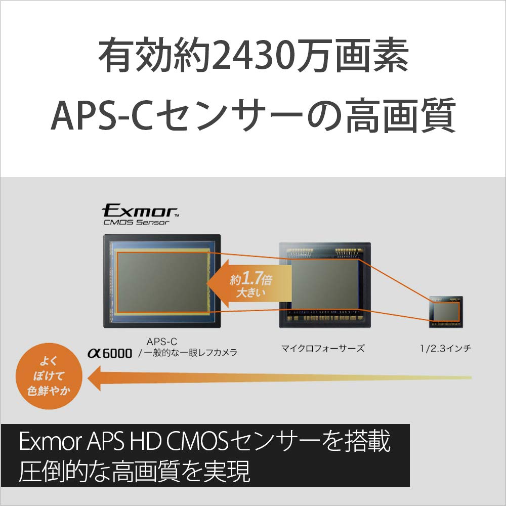 SONY Mirrorless Camera Double Zoom Lens E PZ OSS E B 6000 Kit 16-50mm F3.5-5.6 + 55-210mm F4.5-6.3 OSS, Black, ILCE-6000Y