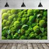 2D Moss Ball Monstera Fern Green Plant Wall Photography Backdrop Jungle Background Banner