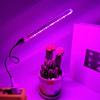Модное освещение полного спектра для выращивания растений, USB-светильник для рассады цветов, светодиодная фитолампа для теплицы, гибкая гидропонная лампа для растений
