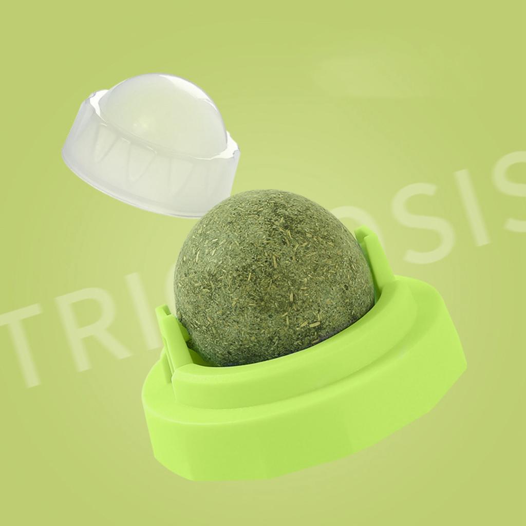 Catnip Ball Rotating Ball Grinding Teeth Cleaning Self-Hilarious Bite-Resistant Interactive Toy Wooden Tian Liao Ball