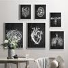 Human Anatomy Vintage Poster Black and White Organs Canvas Painting Wall Art Print Modern Picture Living Room Home Decoration