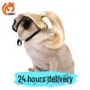 Universal Pet Wigs: Cute High Ponytail Hair Accessories for Cats and Dogs - Perfect for Christmas and Holiday Parties