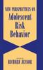 Книга New Perspectives On Adolescent Risk Behavior