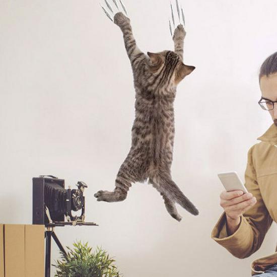 Креативные 3D кошки на стену и случайные наклейки для холодильника, блокнота, туалета - Горячая распродажа