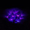 Glowing Feathered Coral Artificial Fake Coral Ornament Creative Glowing Artificial Coral  Aquarium