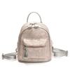 Fashion Student Class Girls Backpack Women's New Fashion High-end Embroidered Small Backpack