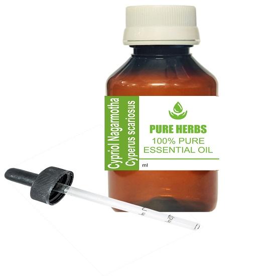 Pure Herbs Cypriol Nagarmotha (Cyperus scariosus)Essential Oil