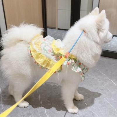 Весенне-летняя новая юбка-принцесса с кружевом для домашних животных, милая одежда для собак и кошек, самоедская собака, защита от выпадения шерсти