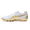 Ds Light Club Artificial Turf Ag (Rubber Short Studs) Soccer Shoes Men Soccer Shoes Platinum 1103A027-122