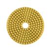 Disc Polishing Pads One Set Wet Dry Polishing Pads Disc for Granite Marble Concrete Stone 4 Inch Polishing Disc