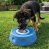 Rolling Ball Dog Licking Bowl Anti-slip Pet Slow Feeder Portable Pet Feeding Bowl  Wet Snack