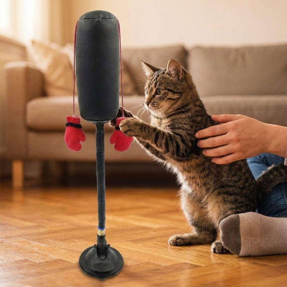 Suction Cup Cat Boxing Toy Scratch Trainer Interactive Cat Toy Cat Boxing Game Kitten Teasing