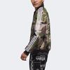 adidas Оригинальные куртки Мужские С воротником-стойкой Умеренные Другие DX4219