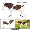 Cognitive Animal Model Toy: Dairy Cow, Buffalo, Yellow Cattle, Rhinoceros, Simmental Bull